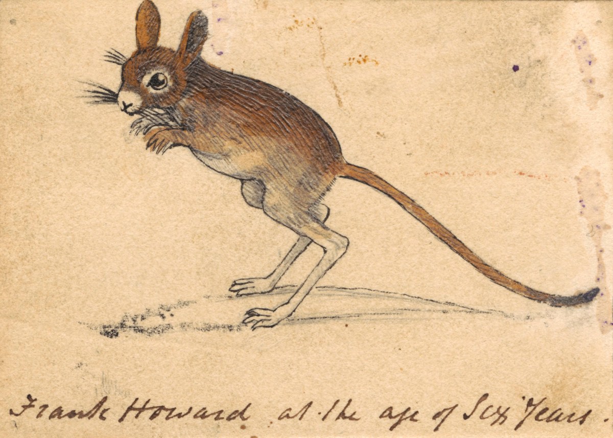Frank Howard, A mouse