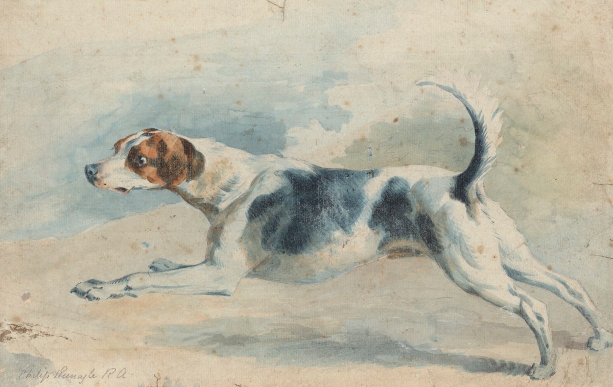 Foxhound art discount