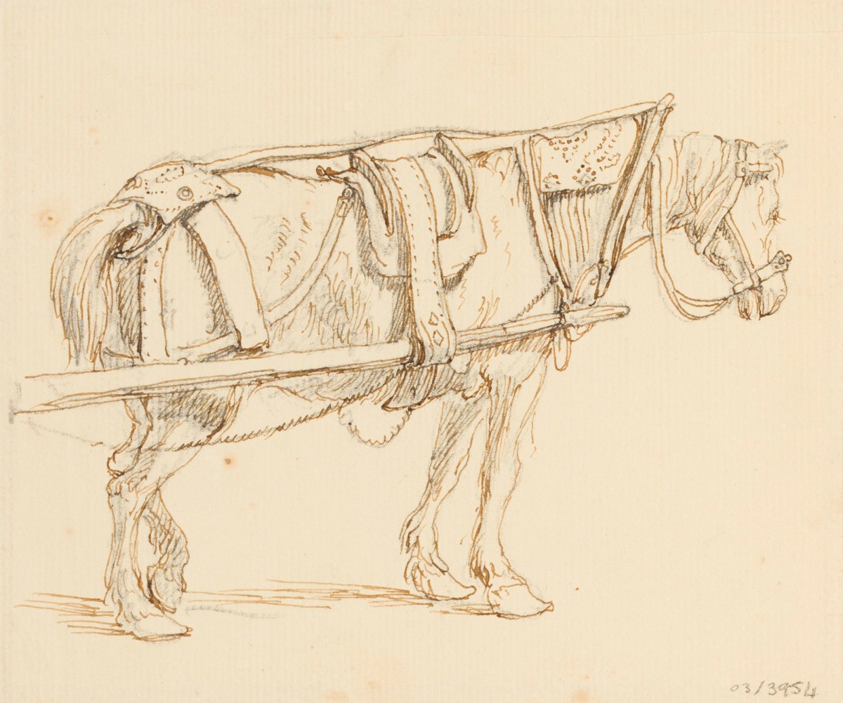 Sir Augustus Wall Callcott RA, A horse in profile