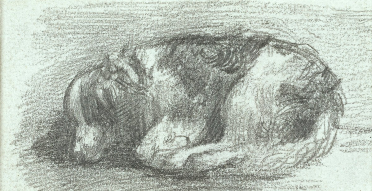 John Constable RA, Study of a sleeping spaniel