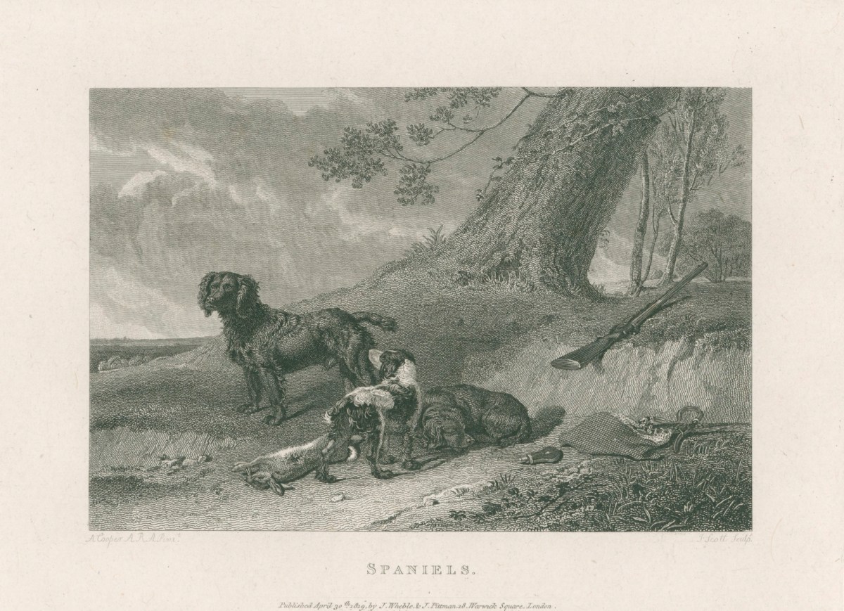 John Scott, Spaniels