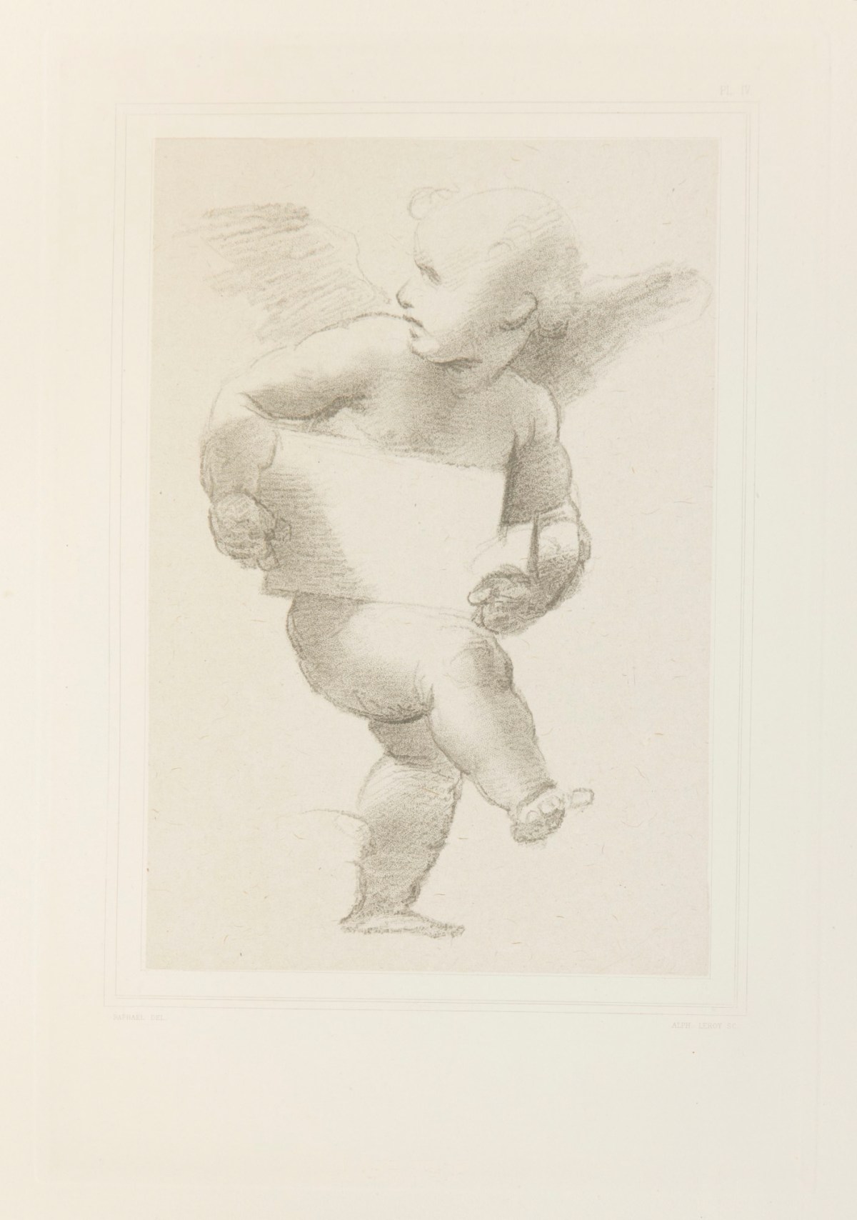 Raphael, Study for the ceiling of the Segnatura chamber in the Vatican.