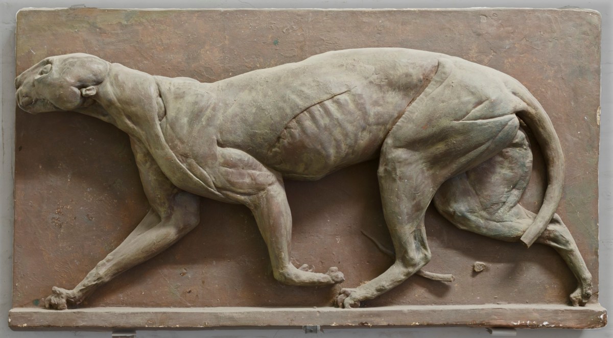 George Stubbs ARA, Écorché Panther