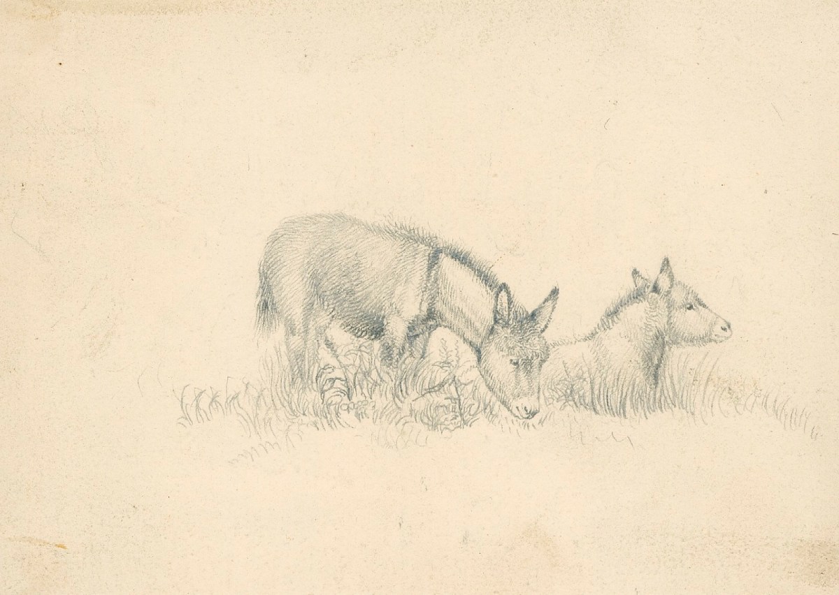 Sir Edwin Landseer RA, Donkeys