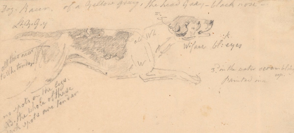 Philip Reinagle RA, Dog Racer