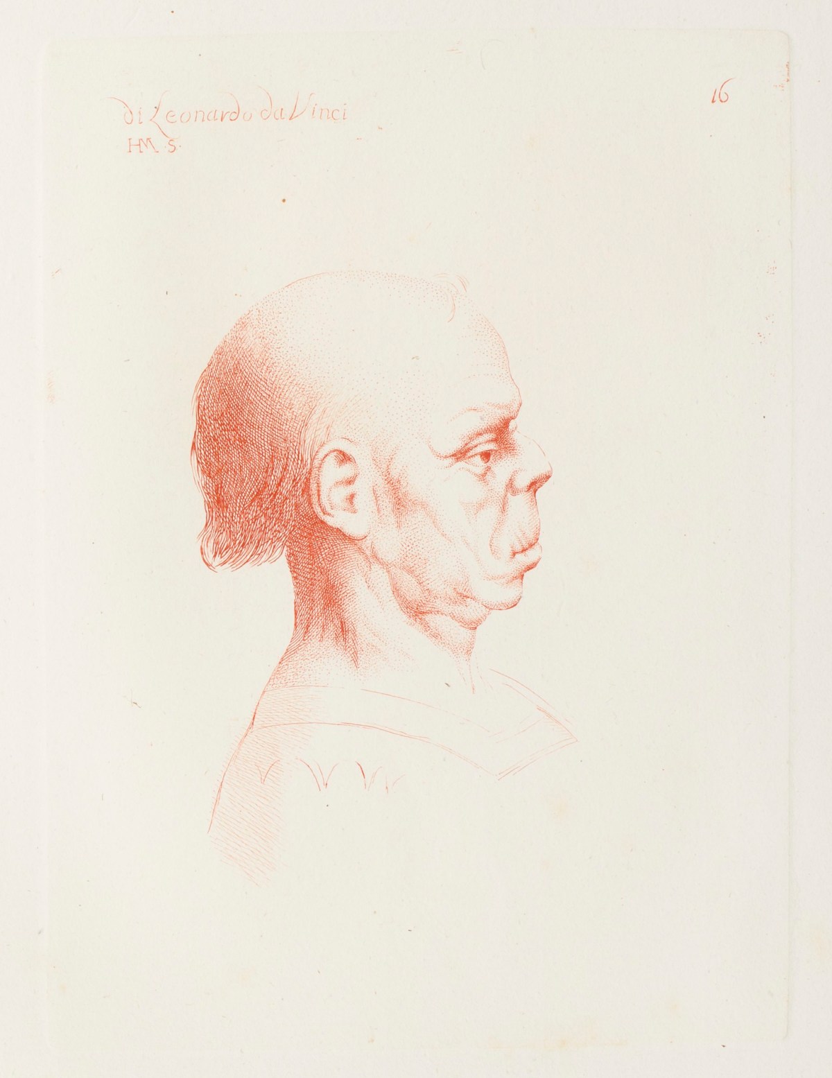 Leonardo da Vinci, Caricature profile of an old man