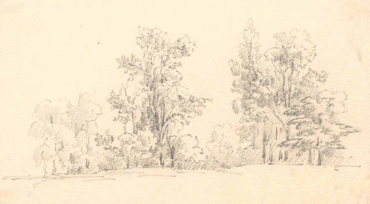 Oriana Georgiana Reinagle, A group of tall trees