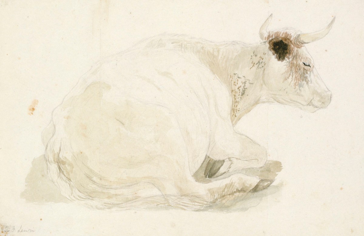 A cow lying down Works of Art RA Collection Royal Academy of Arts
