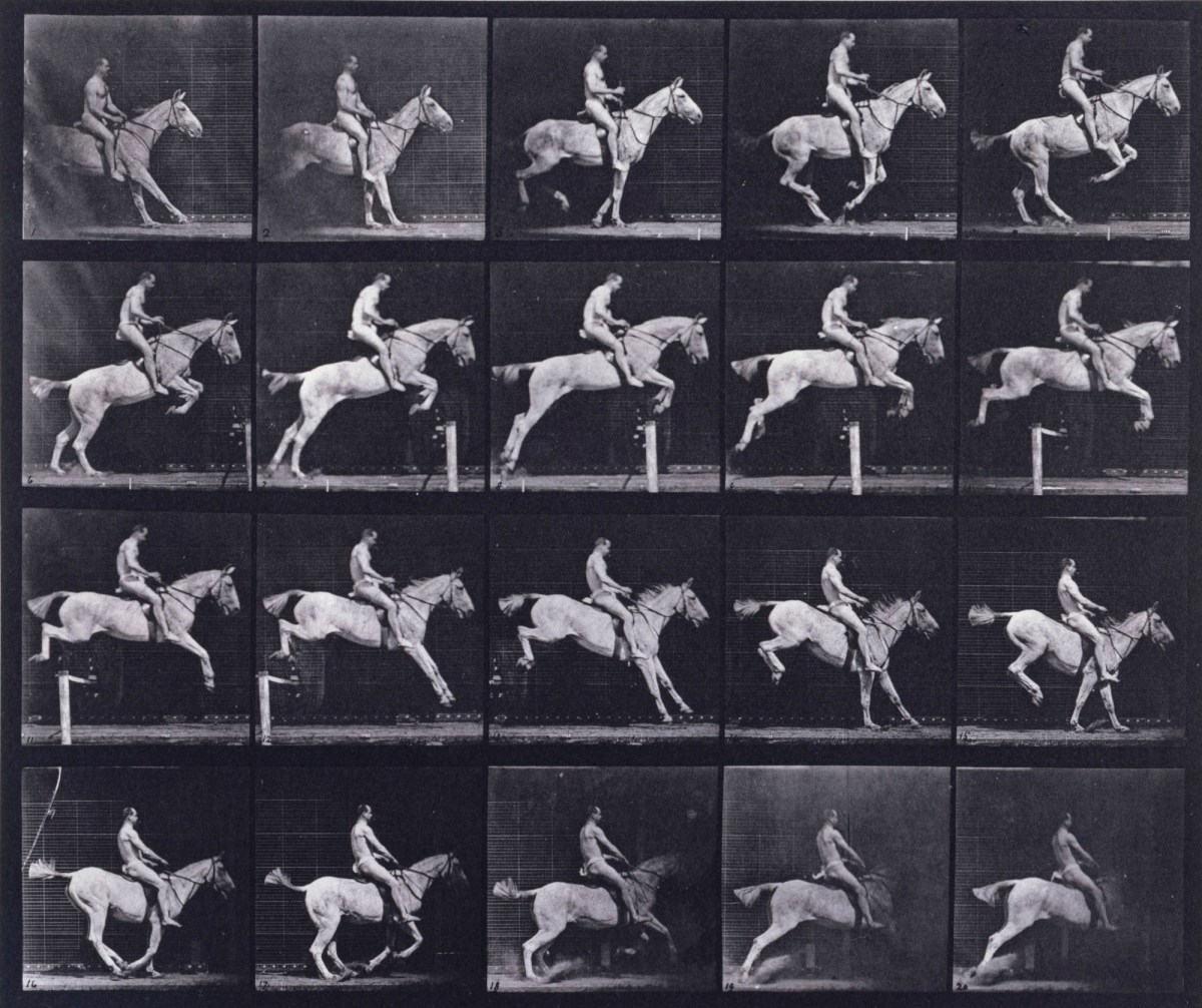 Eadweard Muybridge, Jumping a hurdle; saddle; rider, 105; nude; gray mare Pandora