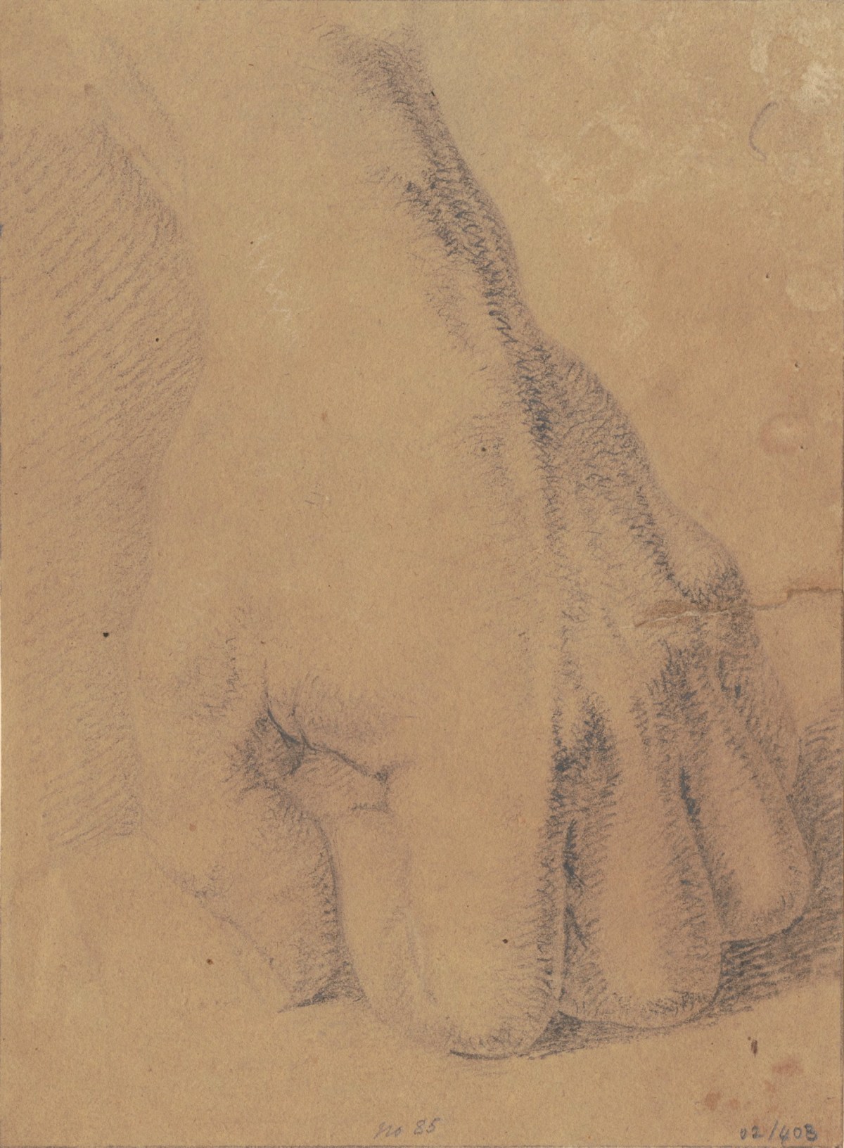 Benjamin Robert Haydon, Drawing of a hand