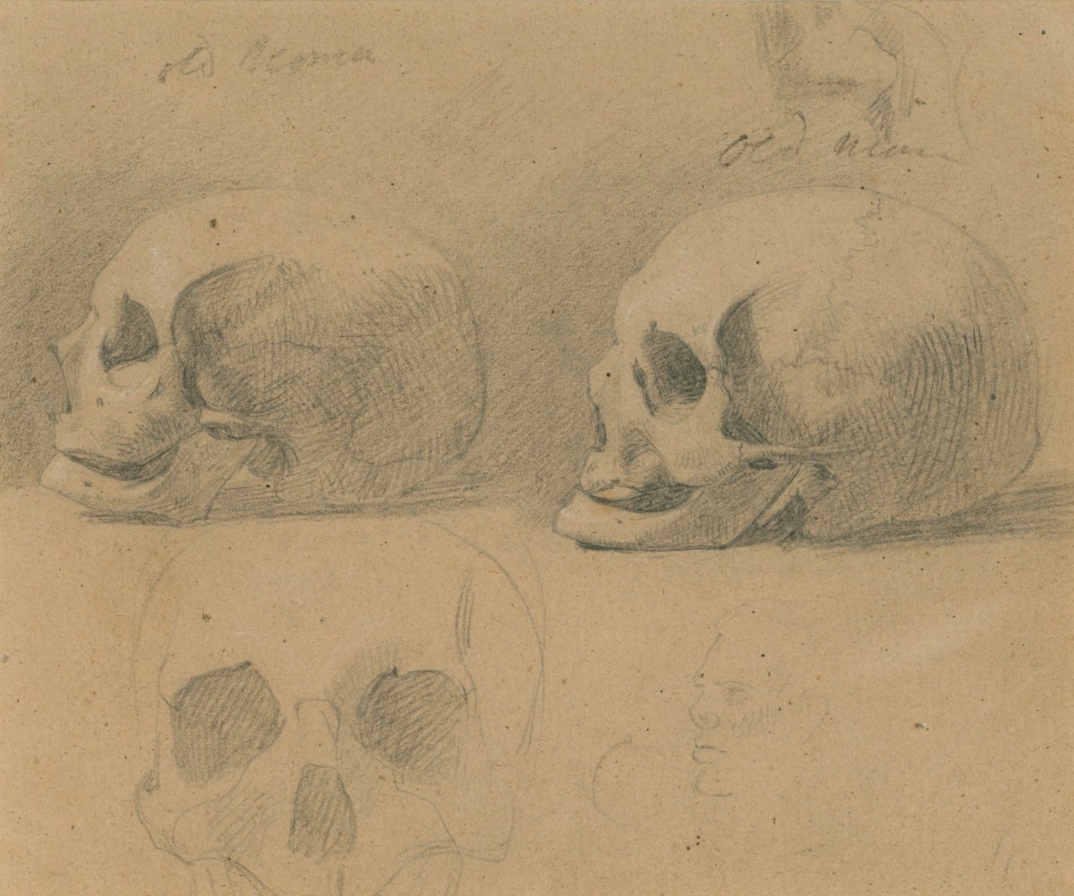 Benjamin Robert Haydon, Studies of the skulls of an old man and an old woman