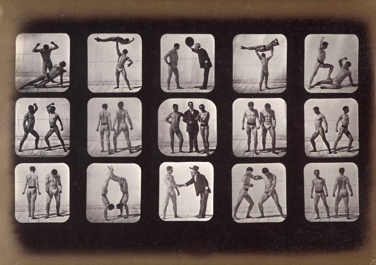 Eadweard Muybridge, Athletes, posturing