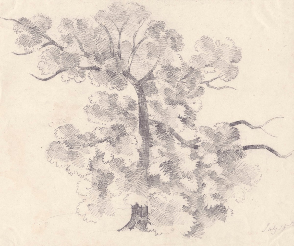 Oriana Georgiana Reinagle, Tree with leafy branches
