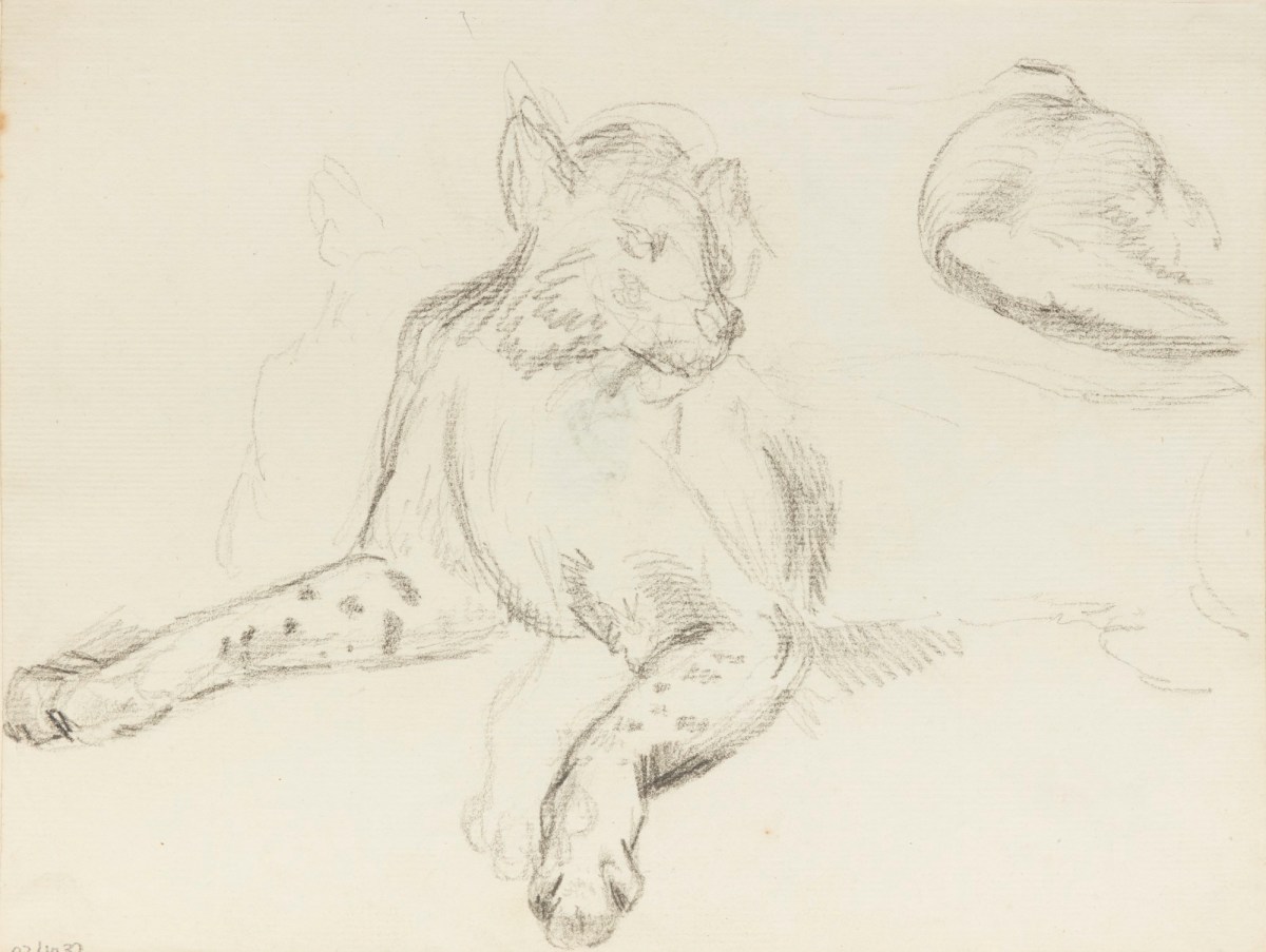 Philip Reinagle RA, Lynx