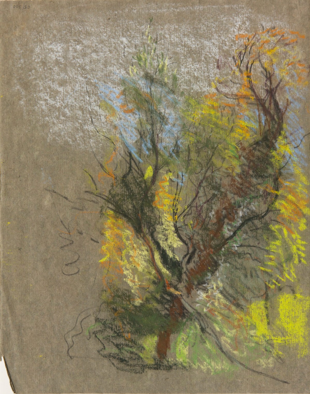 Sir George Clausen RA, Pastel sketches of a boy's head (recto) and tree (verso)
