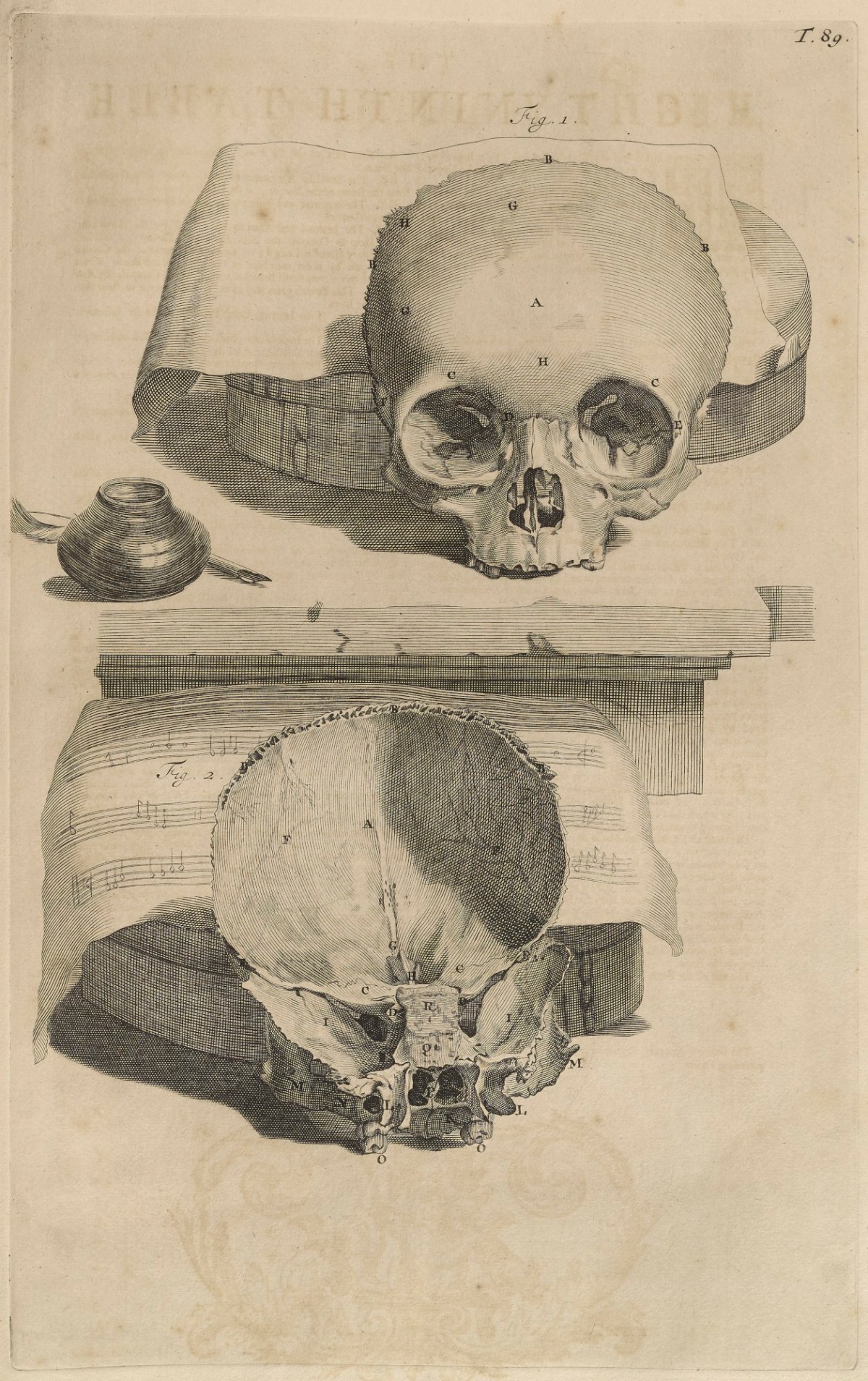Samuel Smith and Benjamin Walford, Plate 89: Frontal bone of the skull