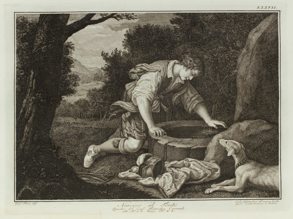 Niccolò Pagni and Giuseppe Bardi, Narcissus