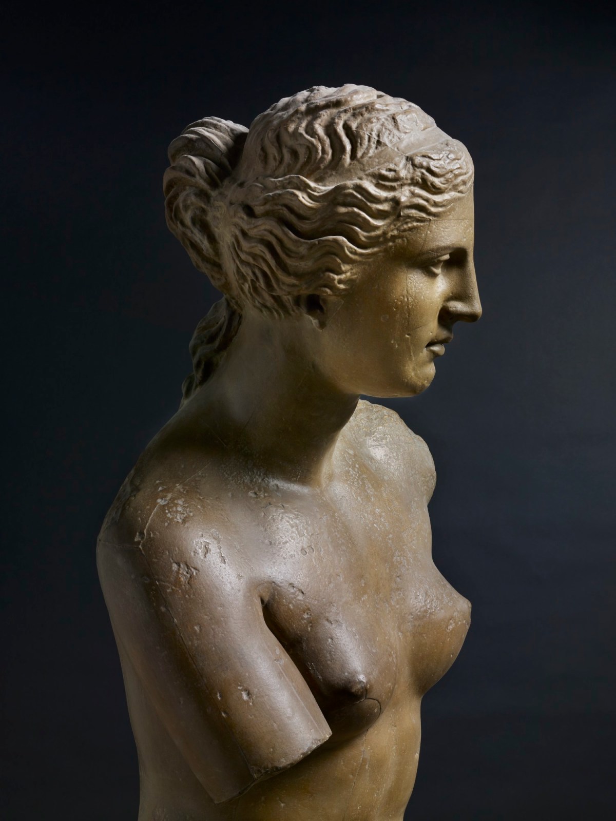Unknown, Venus de Milo