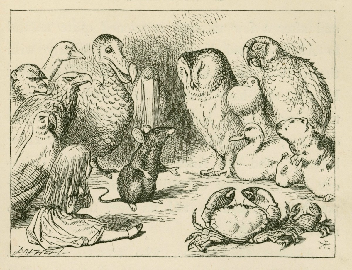 Sir John Tenniel, "Sit down, all of you, and listen to me! I'll soon make you dry enough!"