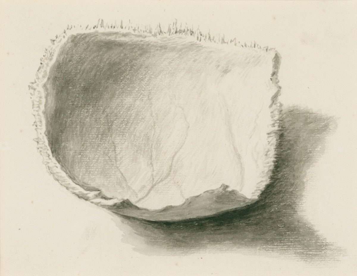 Gerard van der Gucht, Study of the inside of the os bregmatis, related to Cheselden's Osteographia