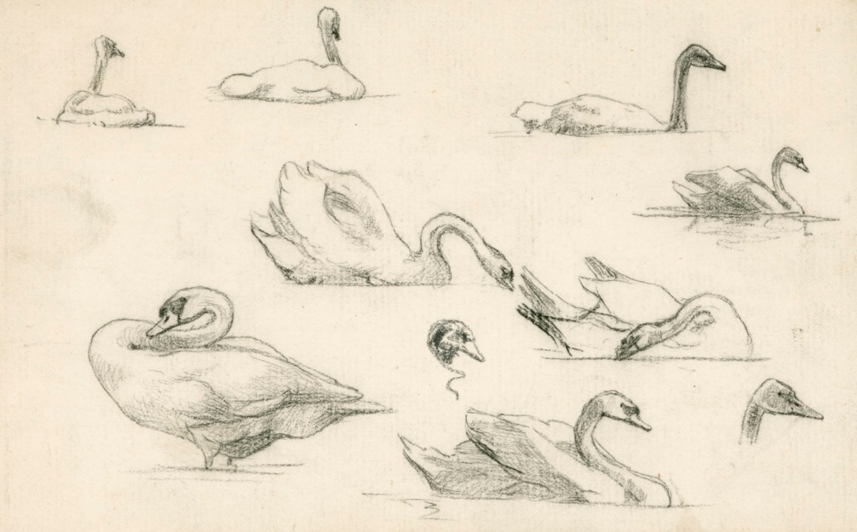 Alfred Parsons RA, Study of swans