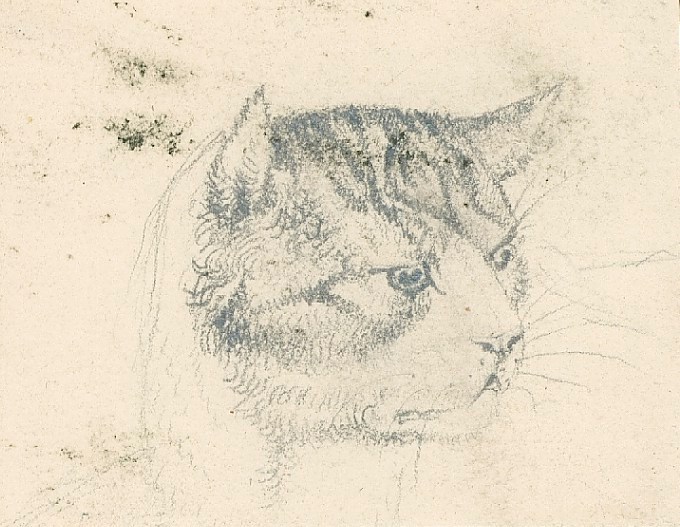 Sir Edwin Landseer RA, Head of a cat