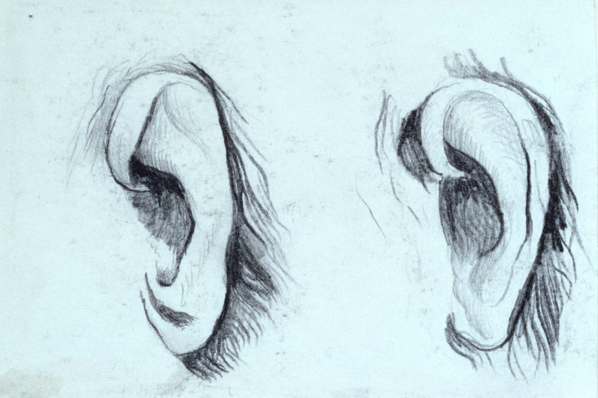 Two studies of ears | Works of Art | RA Collection | Royal Academy of Arts