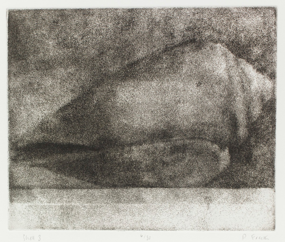 Peter Freeth RA, Shell 3