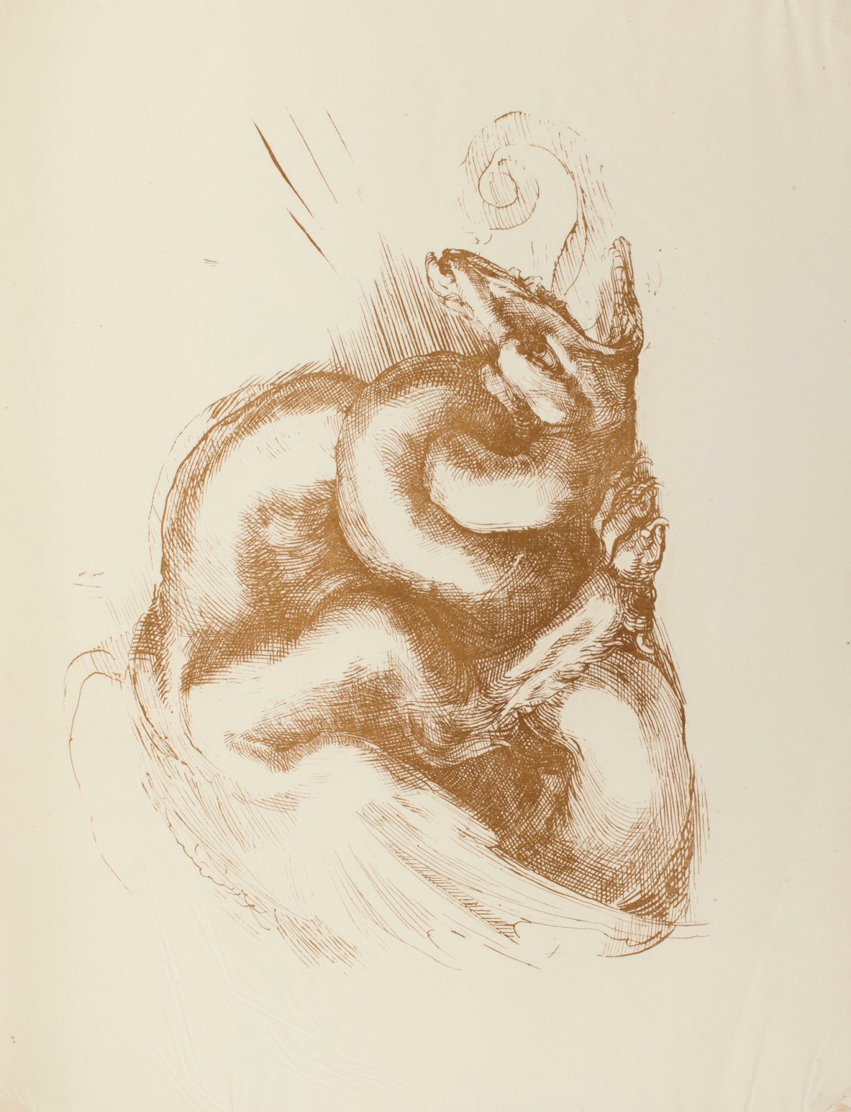A Dragon Or Chimera Attributed To Michelangelo Buonarroti Works Of Art Ra Collection Royal Academy Of Arts