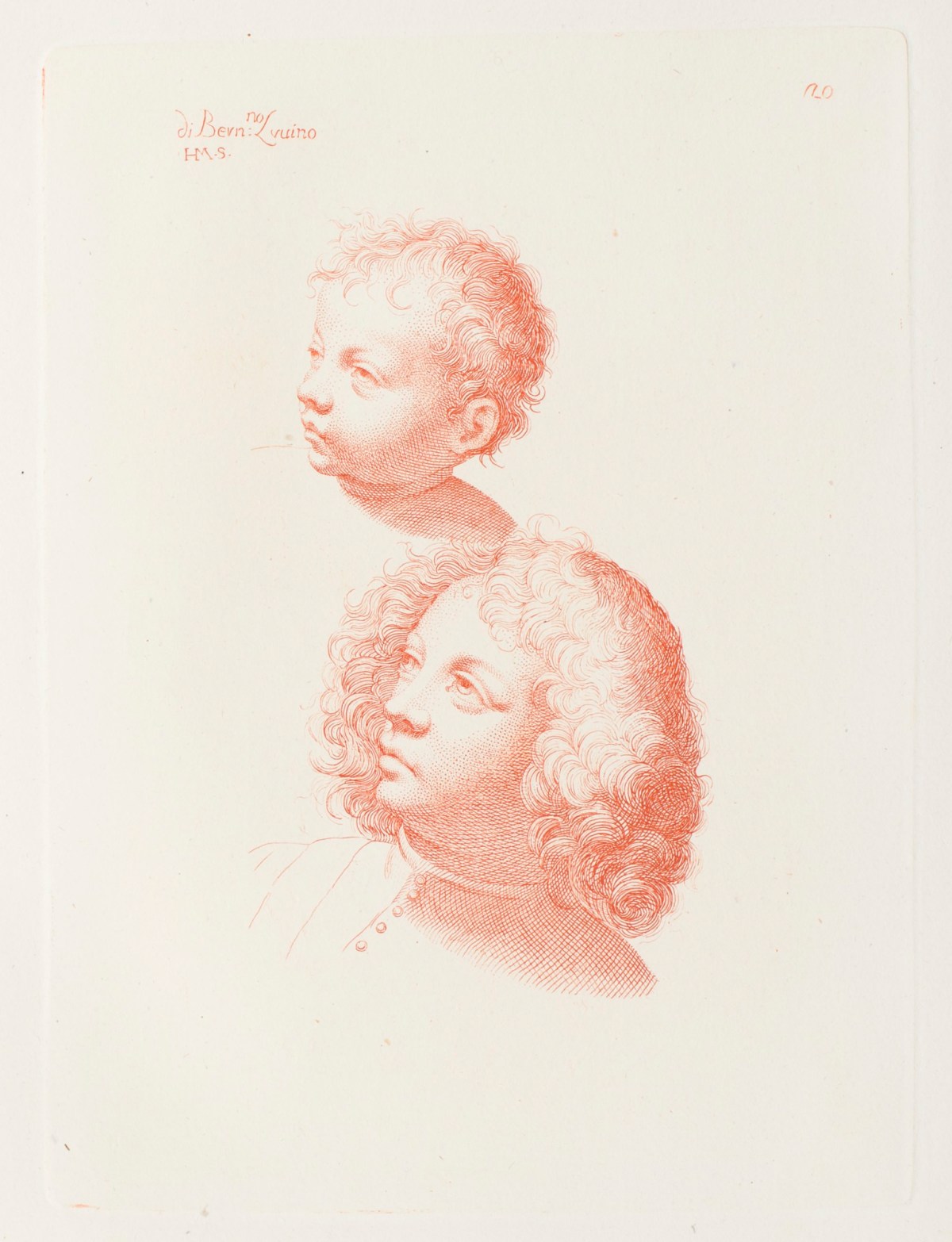 Bernardino Luini, Heads of Two Boys