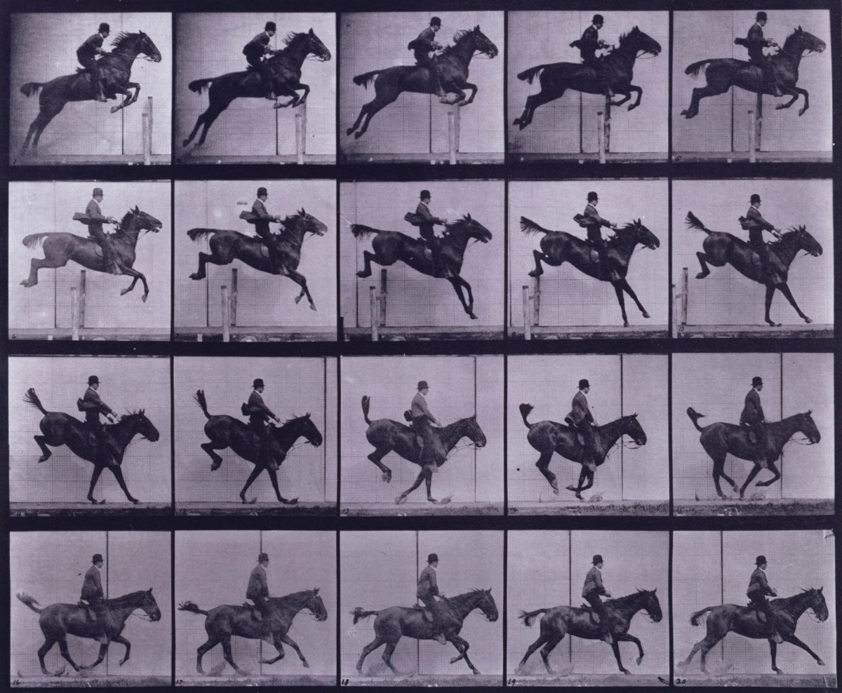 Eadweard Muybridge, Jumping a hurdle; saddle; clearing, landing and recovering; bay horse Daisy.
