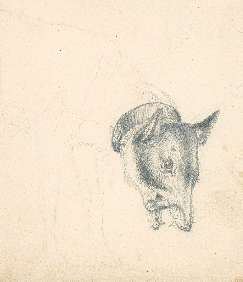 Sir Edwin Landseer RA, Head of a dog with a stick in its mouth
