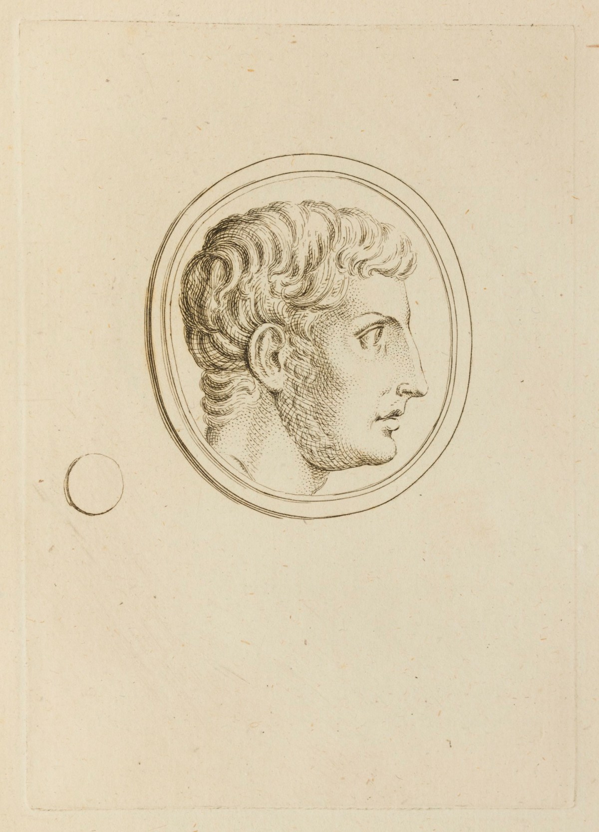 Claude Du Bosc, Male head in profile