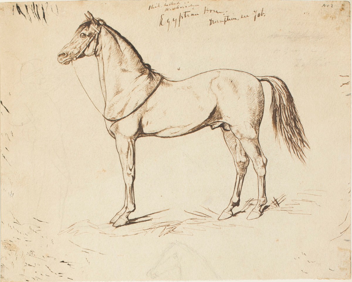 Henry Hugh Armstead RA, An Egyptian horse