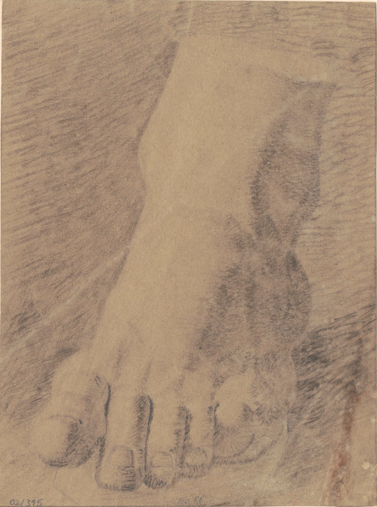 Benjamin Robert Haydon, Drawing of a foot, probably from a cast