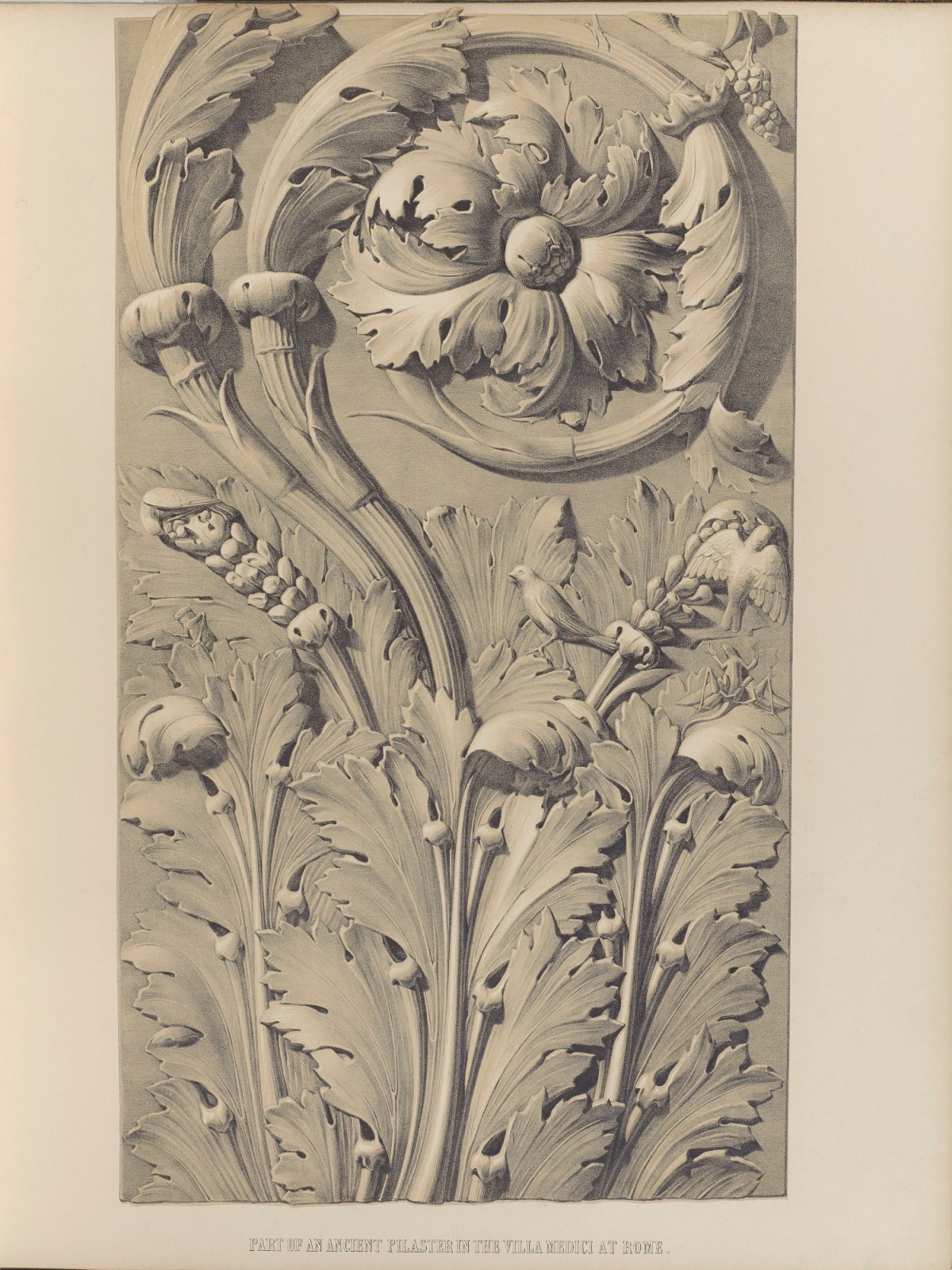 Ludwig Gruner, Part of an ancient pilaster in the Villa Medici at Rome