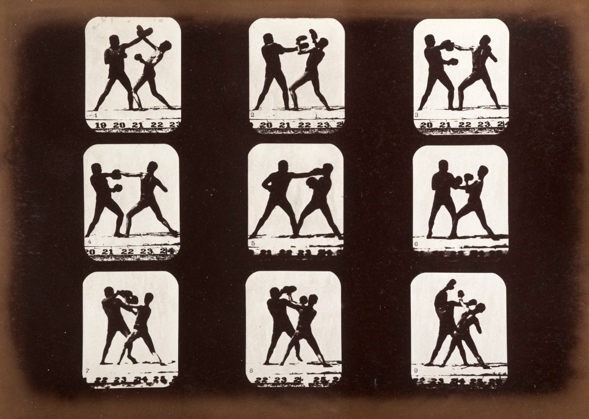 Eadweard Muybridge, Athletes. Boxing.