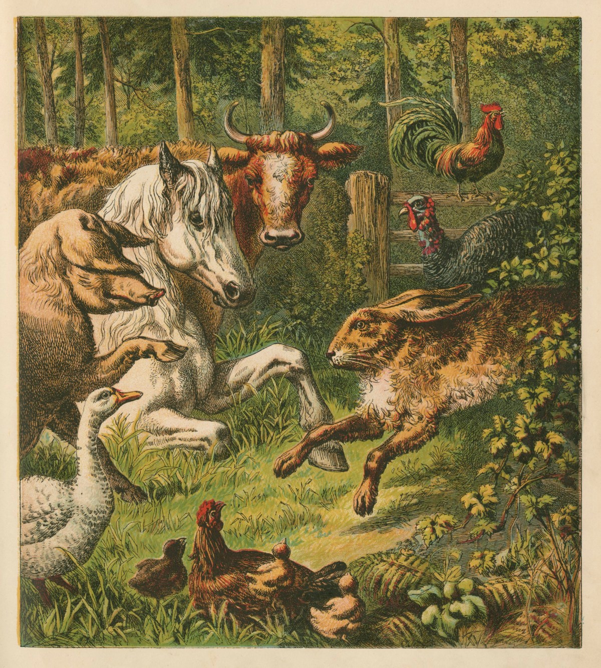 The Hare And The Tortoise Works Of Art Ra Collection Royal