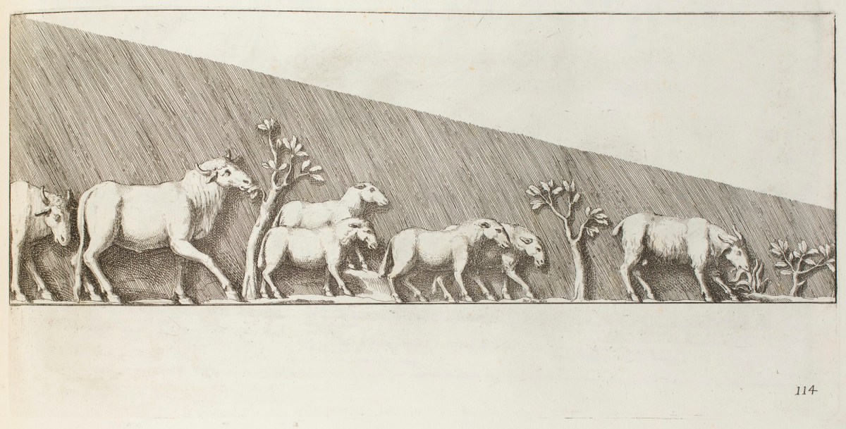Pietro Santi Bartoli, Plate 114: Dacian cattle