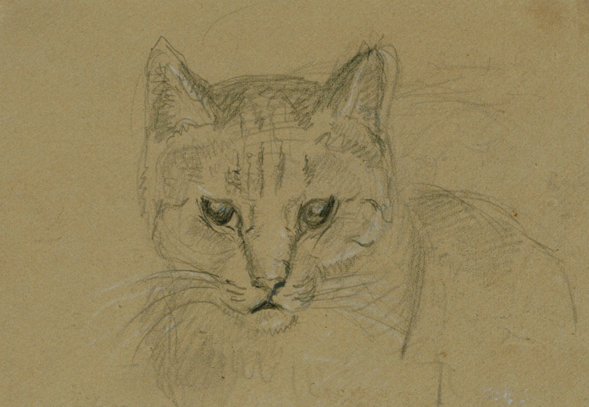 Head Of A Cat Works Of Art Ra Collection Royal Academy Of Arts