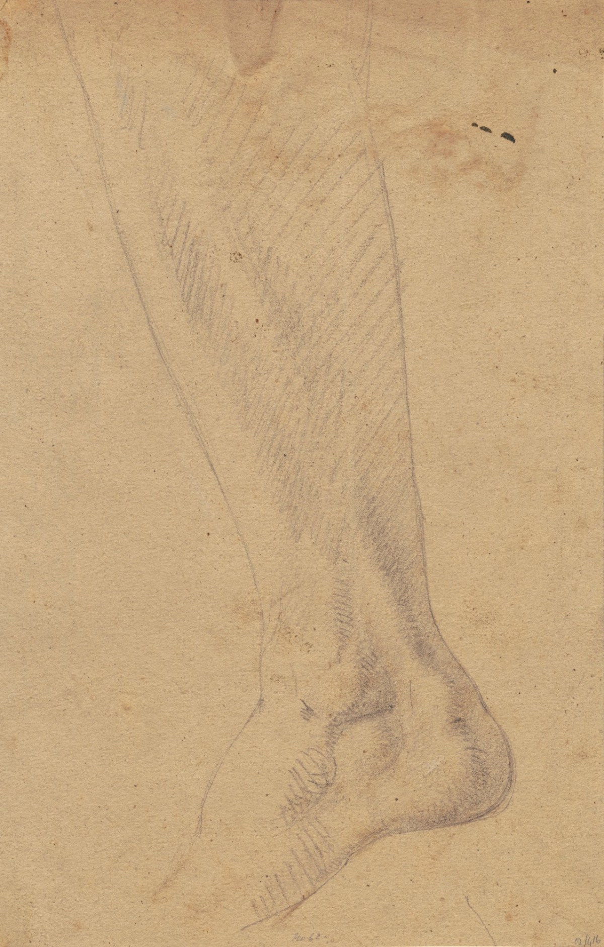Benjamin Robert Haydon, Study of a leg from knee to foot