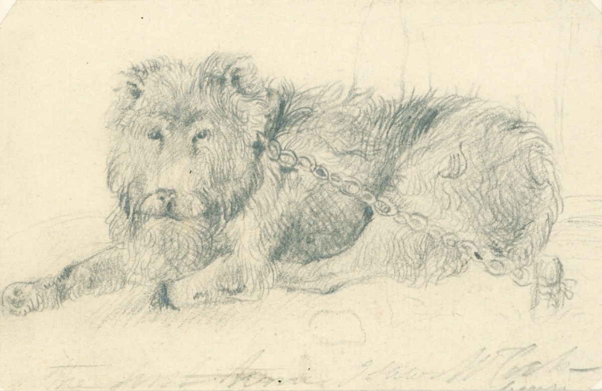 Sir Edwin Landseer RA, A long-haired dog lying down