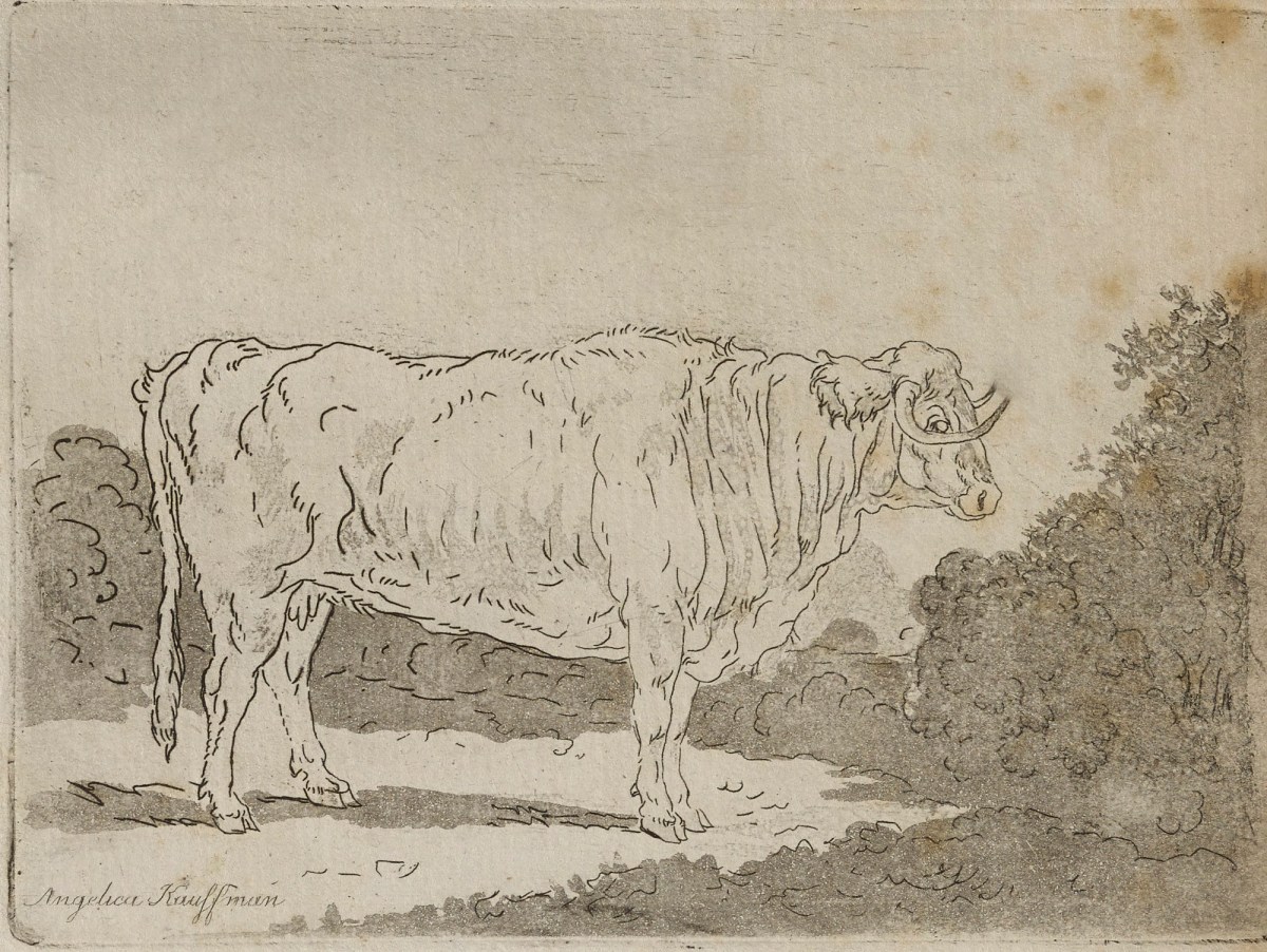 Angelica Kauffman RA, Cow