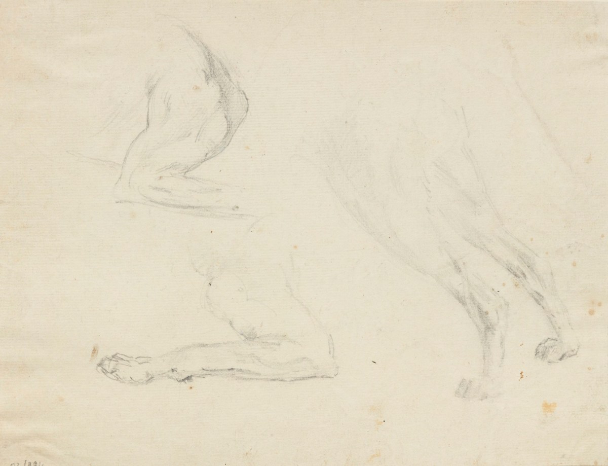 Philip Reinagle RA, Drawings of a dog's legs