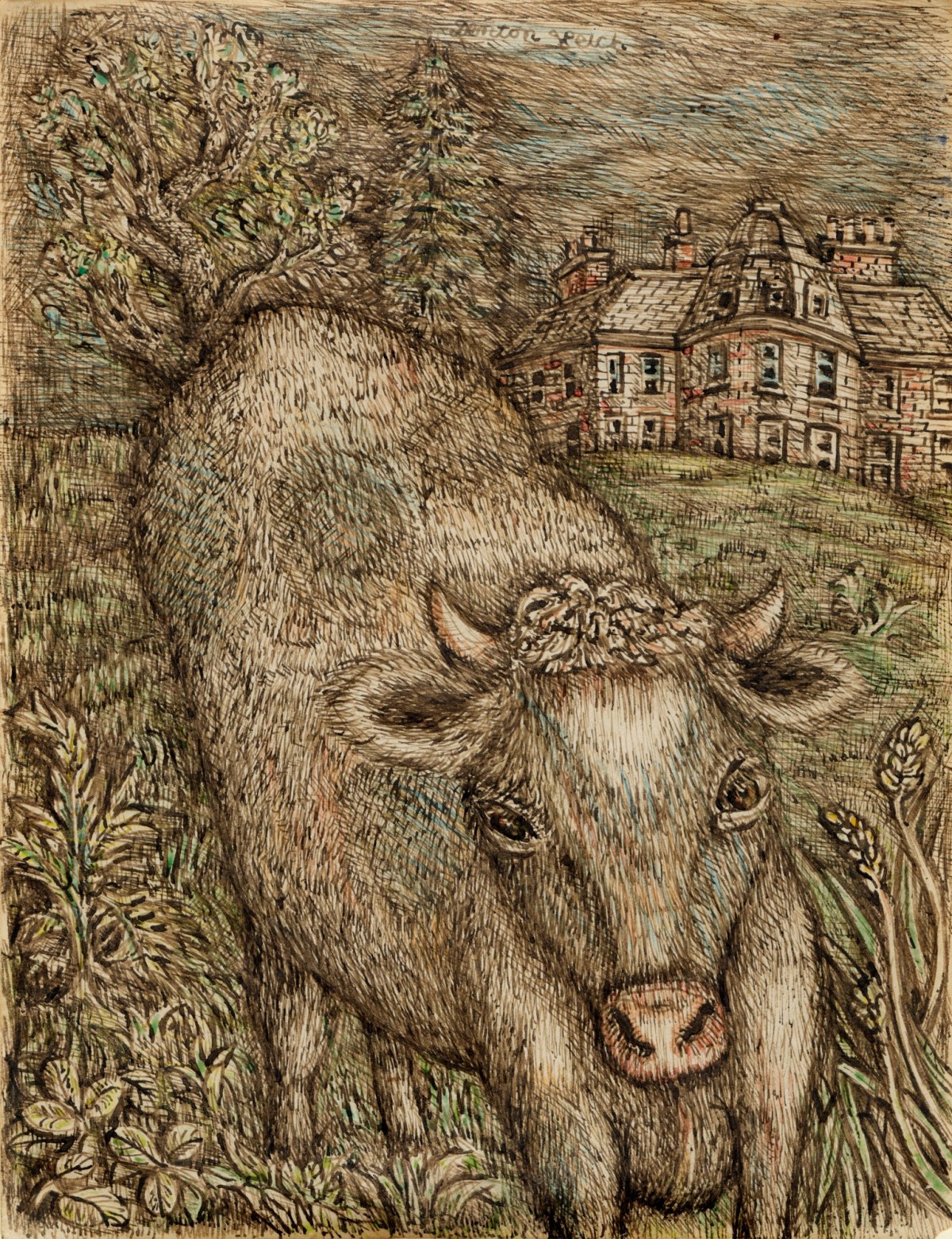 Denton Welch, Cow at Oxenhouth House