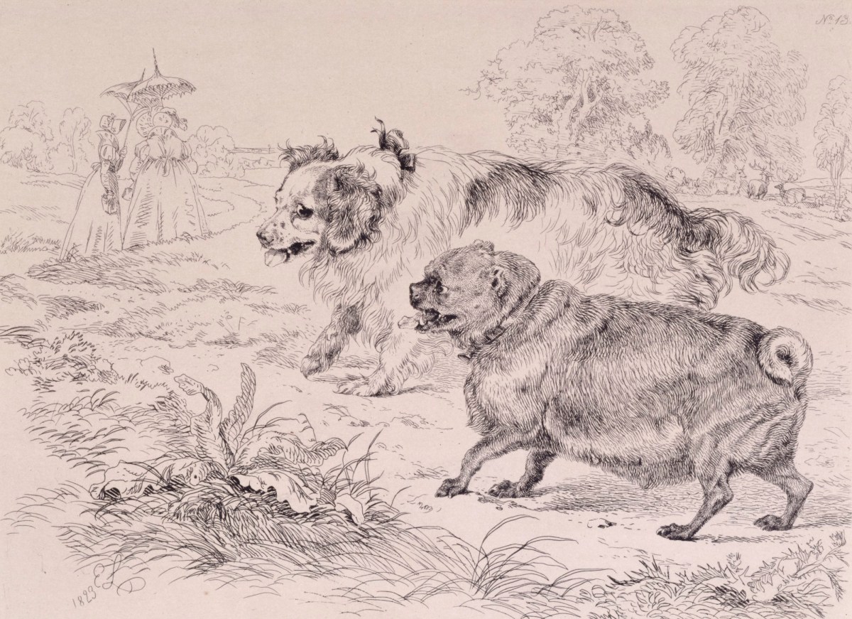 Sir Edwin Landseer RA, The Ladies Pets
