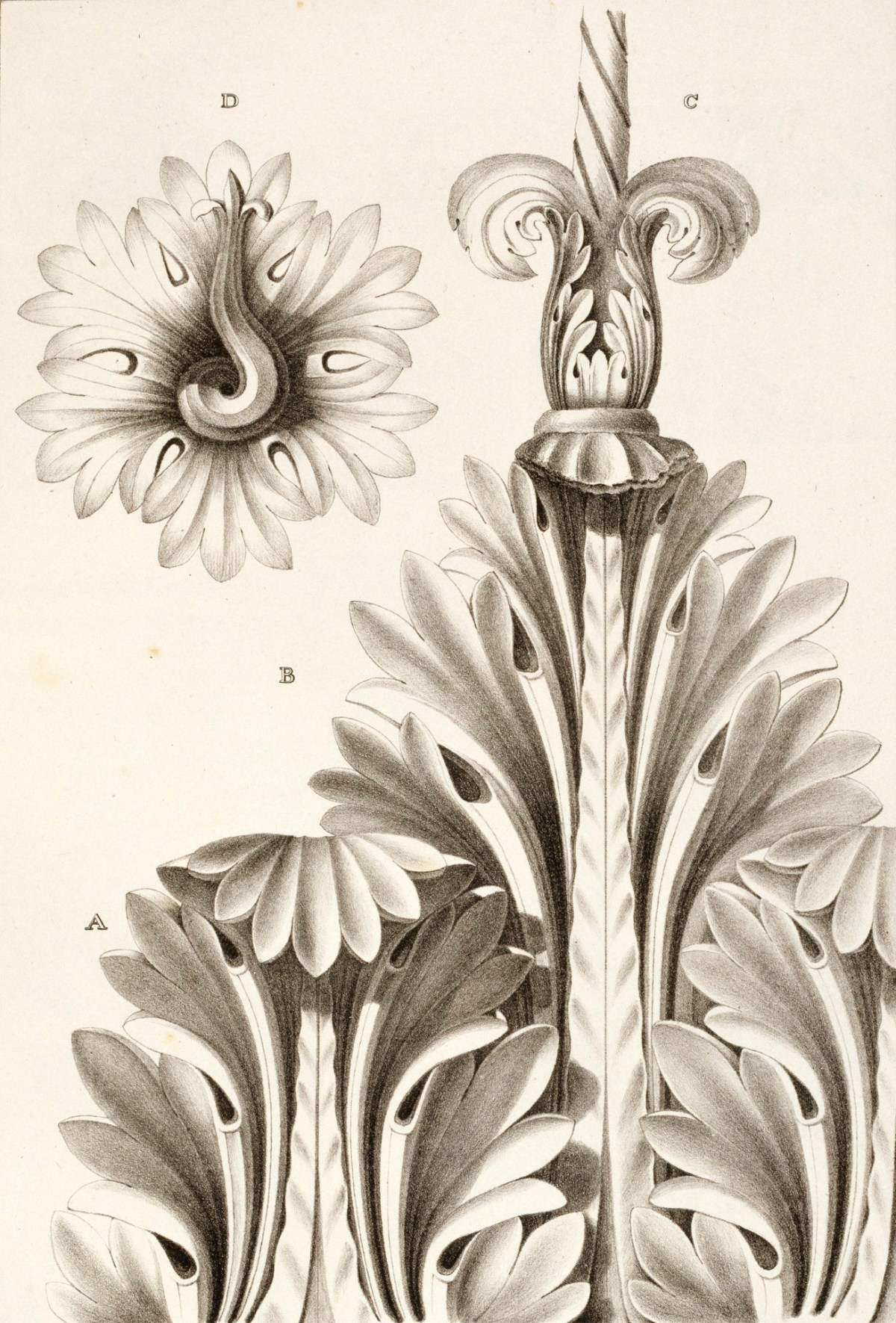 G.L. Taylor and Edward Cresy, Temple of Mars Ultor, Rome: foliage of the capital one quarter the actual size
