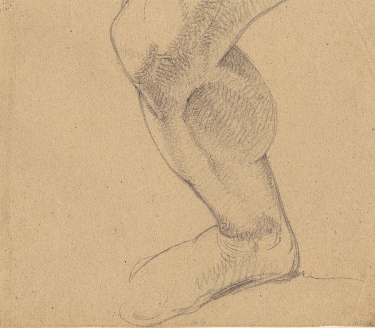 Benjamin Robert Haydon, Drawing of a leg from knee to foot