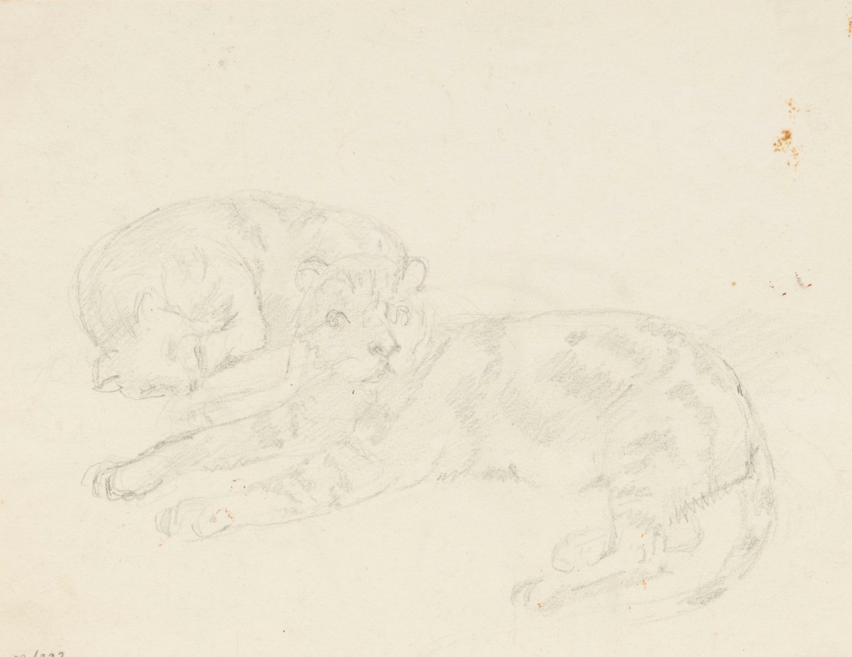 Two Cats Lying Down Works Of Art Ra Collection Royal Academy