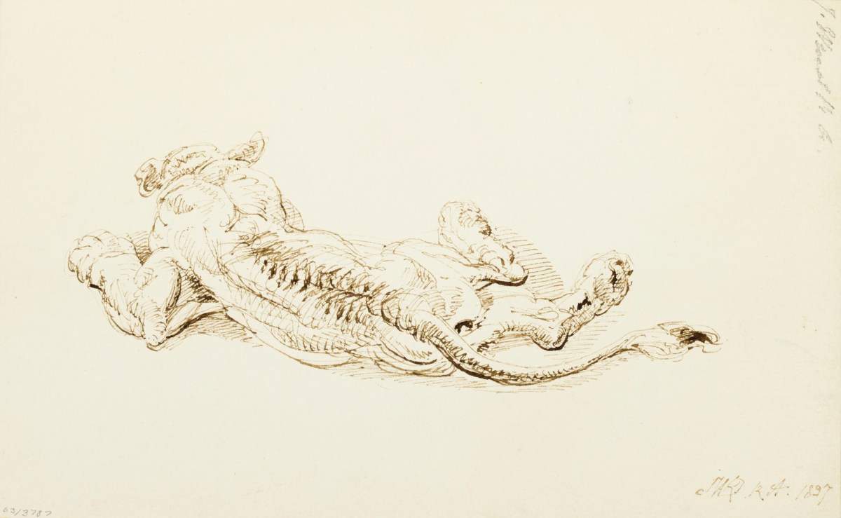 James Ward RA, A lioness